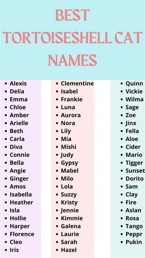 Cute Names For Tortoiseshell Kittens