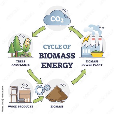 Cycle Of Biomass Energy