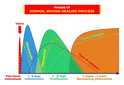 Cycle Of Healing Chart