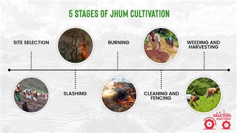 Cycle Of Jhum Meaning