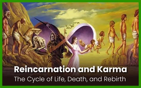 Cycle Of Life And Death