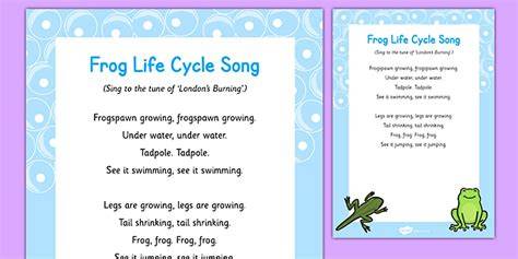 Cycle Of Life Song