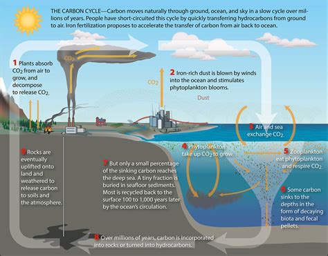 Cycle Of Ocean Heating