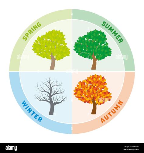 Cycle Of Seasons