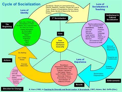 Cycle Of Socialization