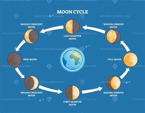 Cycle Of The Moon