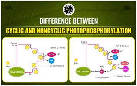 Cyclic Image