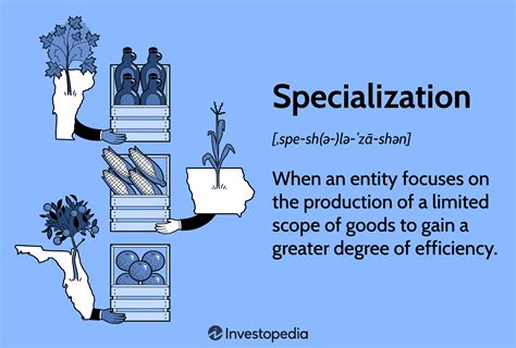 Define Specialization In Economics