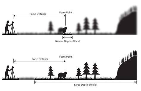 Depth Of Field Definition