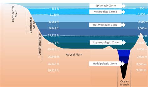 Depth Of Pacific Ocean