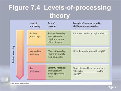 Depth Of Processing Theory