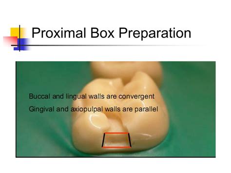 Depth Of Proximal Box In Class 2