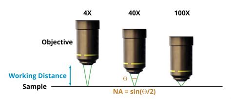 Depth Of View Microscope