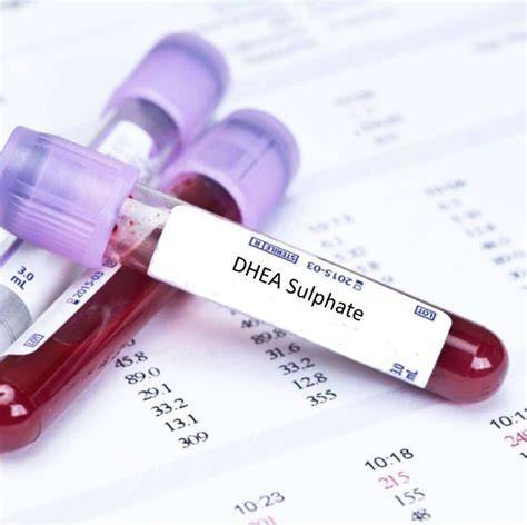 Dhea Sulphate Blood Test