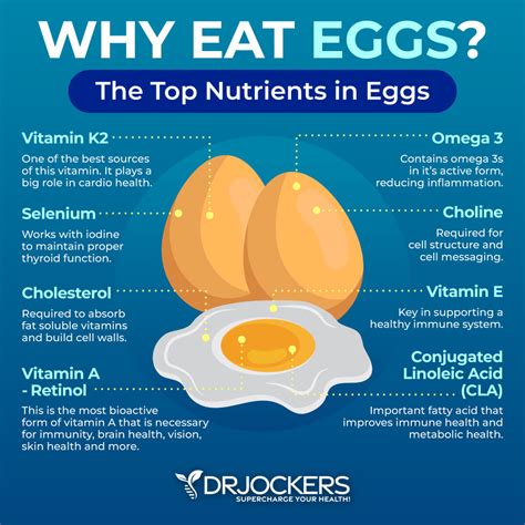 Diet Of Eggs