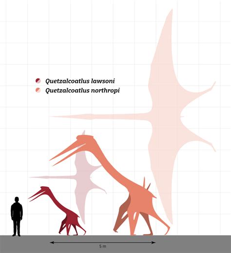 Diet Of Quetzalcoatlus