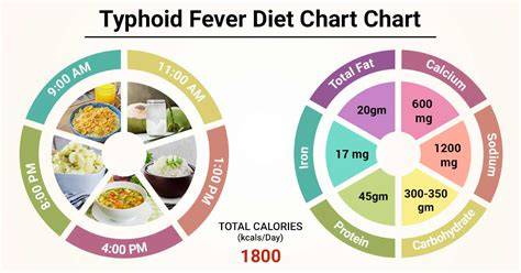 Diet Of Typhoid Fever