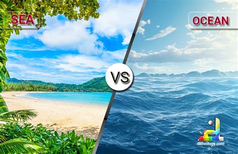 Difference Between Ocean And Sea