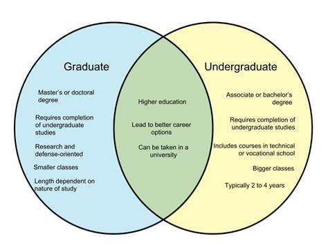 Difference Between Undergraduate And Bachelor