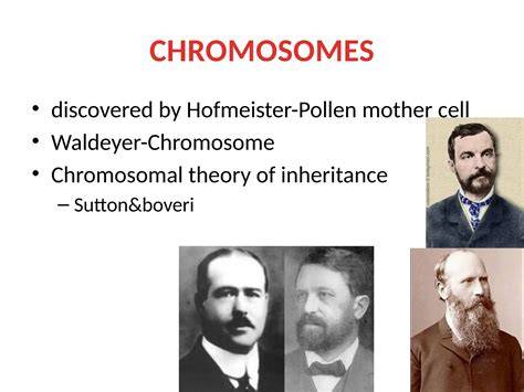 Discovered By Chromosome