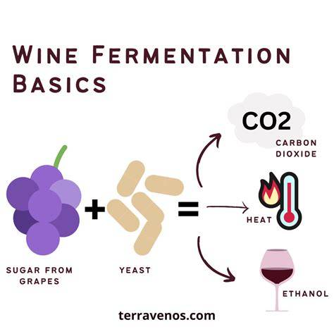 Discovered By Fermentation
