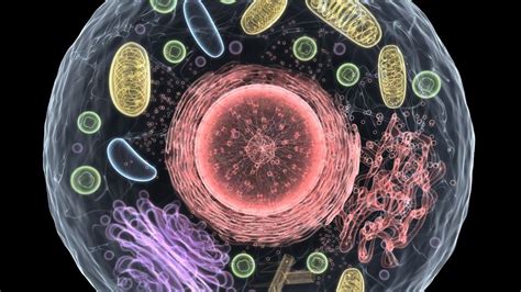 Discovered By Living Cell