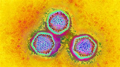 Discovered By Virus
