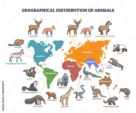 Distribution Of Animals