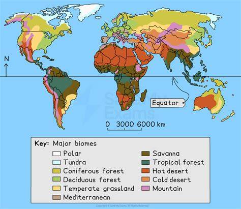 Distribution Of Biomes