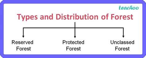 Distribution Of Forest And Wildlife Resources