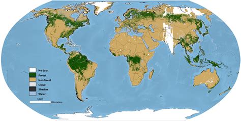Distribution Of Forest In The World
