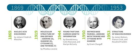 Dna Discovered By Who