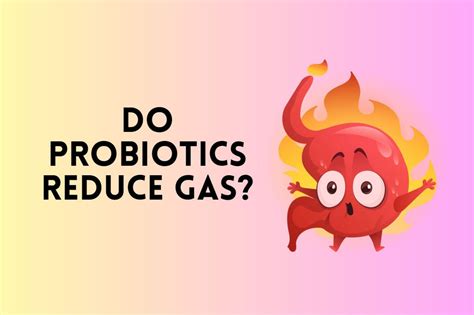 Do Probiotics Cause Gas