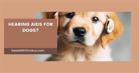 Do They Have Hearing Aids For Dogs