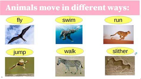 Do They Move Fast