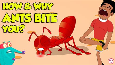 Do You Ants Bite