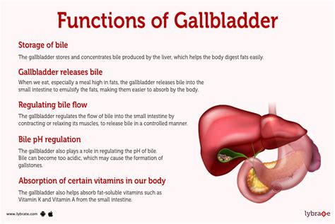 Do You Need A Gallbladder