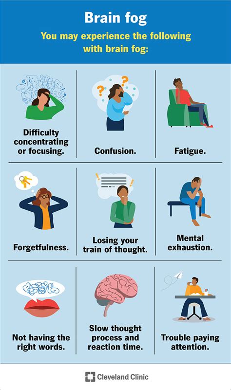 Doctor For Brain Fog