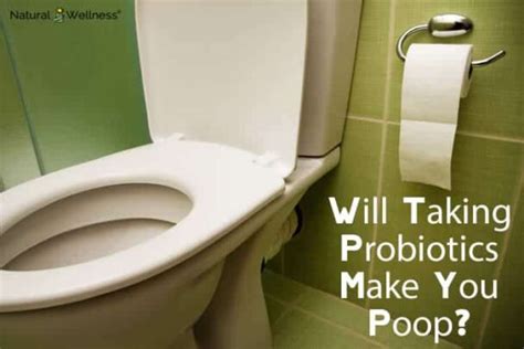 Does Probiotics Make You Poop