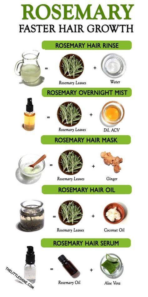 Does Rosemary Help Hair Growth