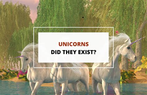 Does Unicorn Exist