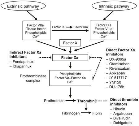 Does Xarelto Affect Inr