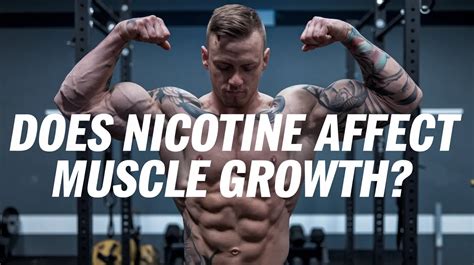 Does Zyn Affect Muscle Growth