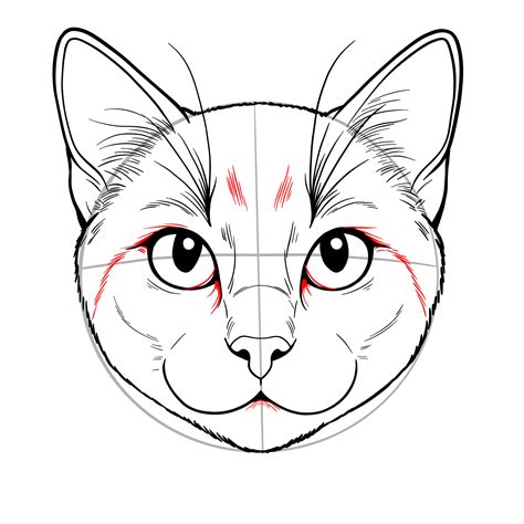 Drawing Of A Cat