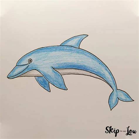Drawing Of Dolphin