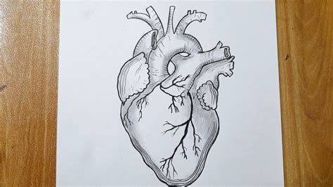 Drawing Of Heart