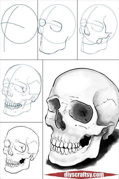 Drawing Of Skull