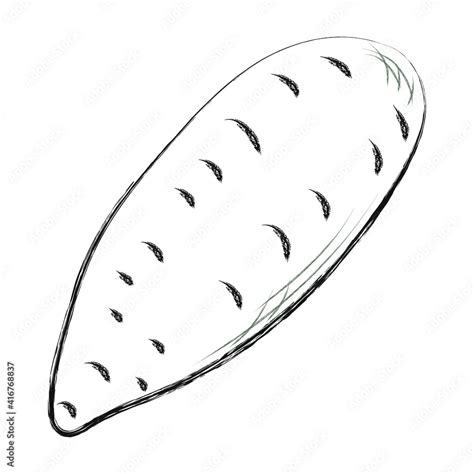 Drawing Of Yam