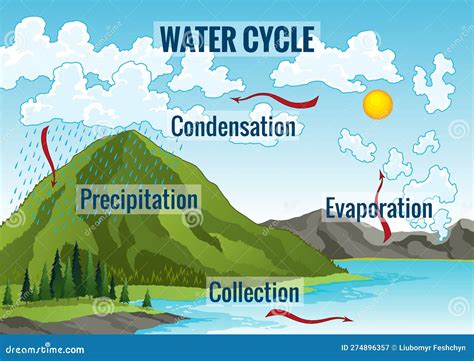 Earth Water Cycle