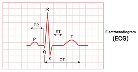 Ecg Components Lab Notebook